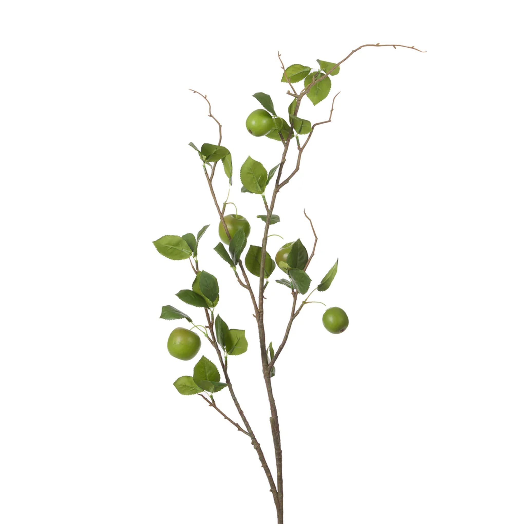 GREEN APPLE BRANCH