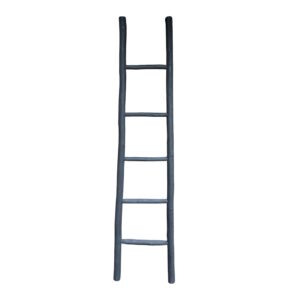 Black Rustic Ladder