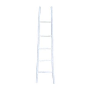 White Rustic Ladder