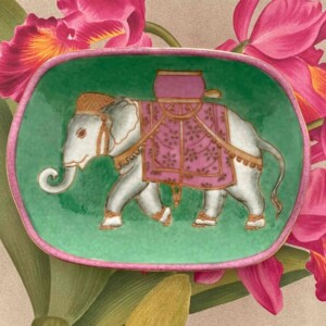 Archivo Savon Dish Elefante